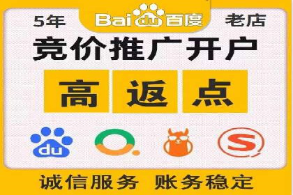 百度推广运营实战：成功案例解析